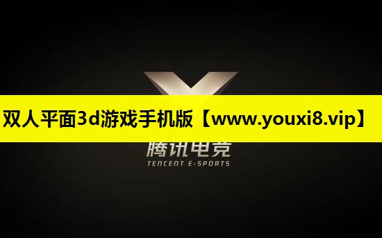 双人平面3d游戏手机版