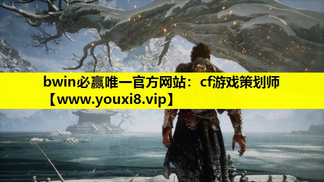 bwin必赢唯一官方网站：cf游戏策划师