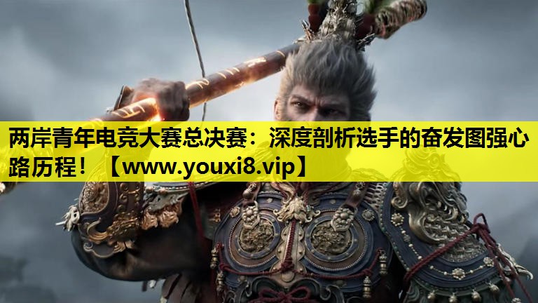 两岸青年电竞大赛总决赛：深度剖析选手的奋发图强心路历程！