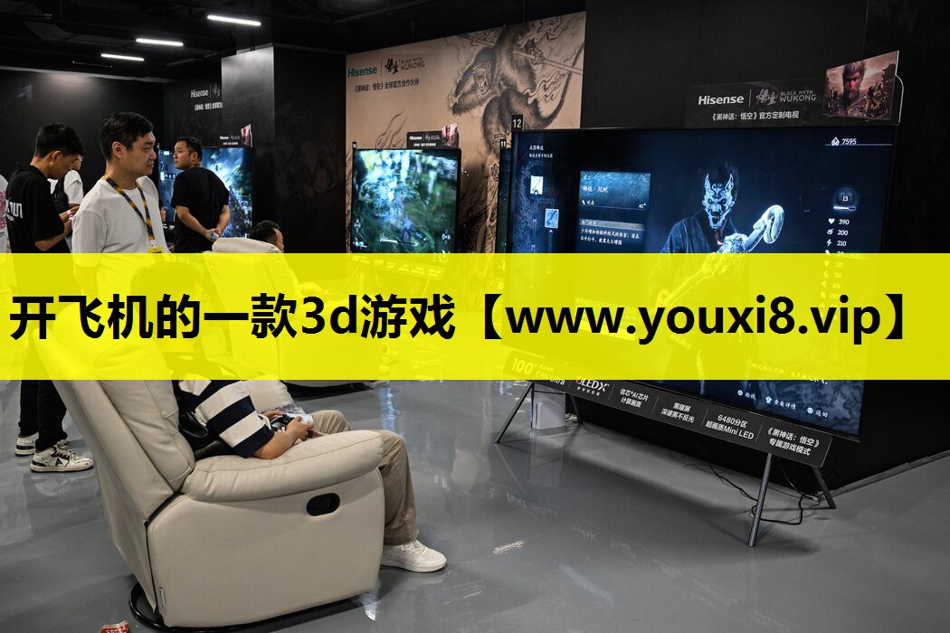 开飞机的一款3d游戏