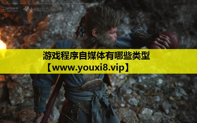 游戏程序自媒体有哪些类型