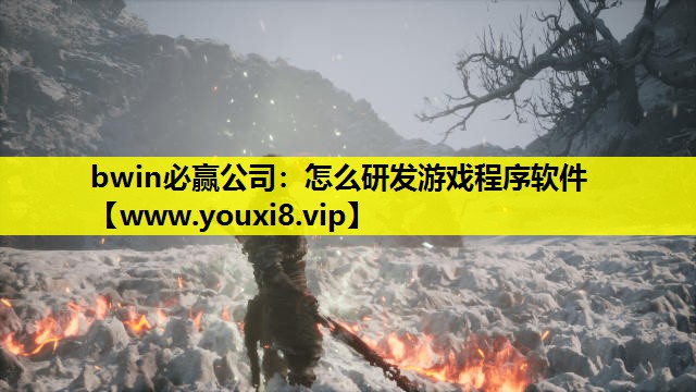 怎么研发游戏程序软件