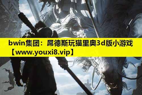屌德斯玩猫里奥3d版小游戏
