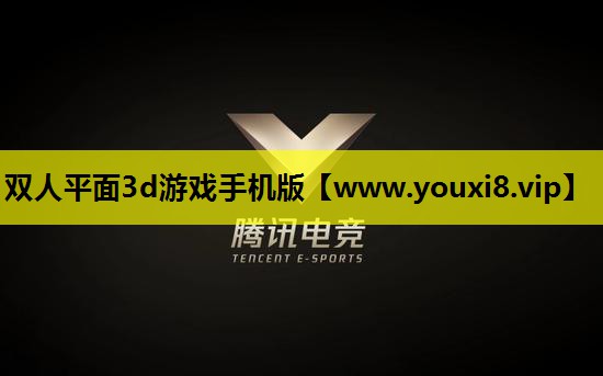 双人平面3d游戏手机版