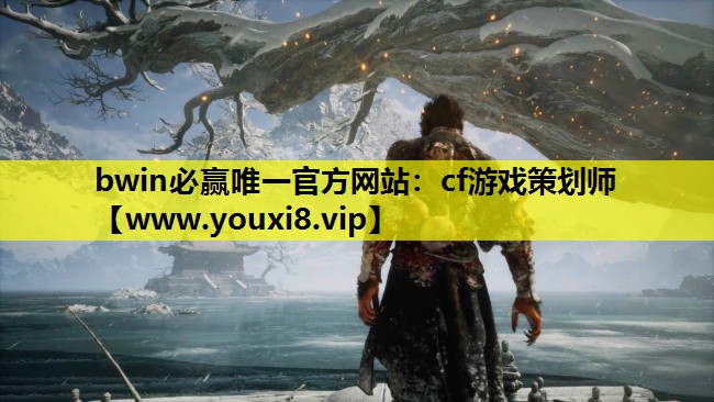 cf游戏策划师