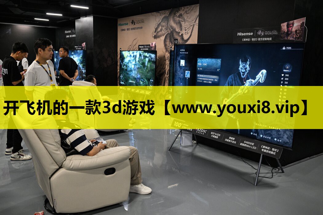 开飞机的一款3d游戏