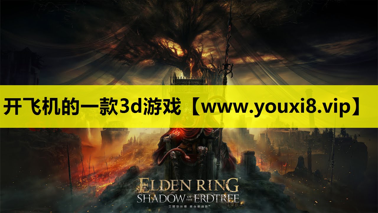 开飞机的一款3d游戏
