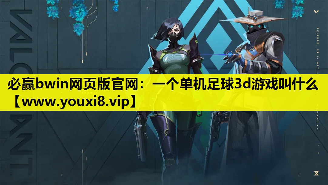 一个单机足球3d游戏叫什么